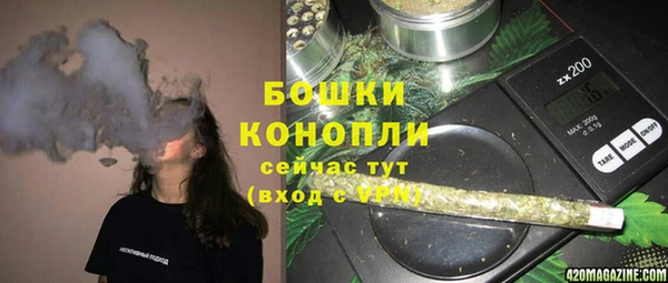 мдпв Елабуга