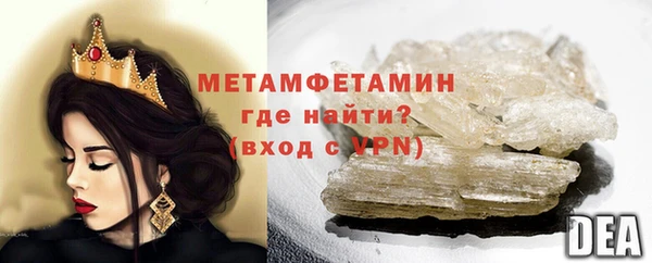 гидра Ельня
