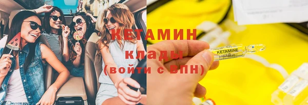 гидра Ельня