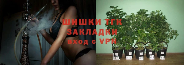 мдпв Елабуга