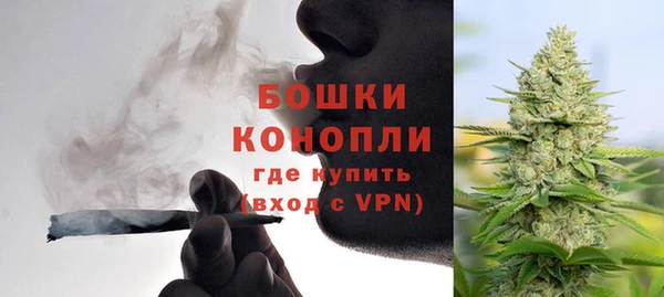 гидра Ельня