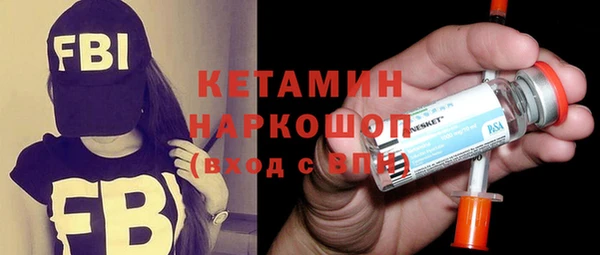 гидра Ельня