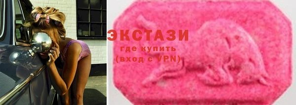 гидра Ельня