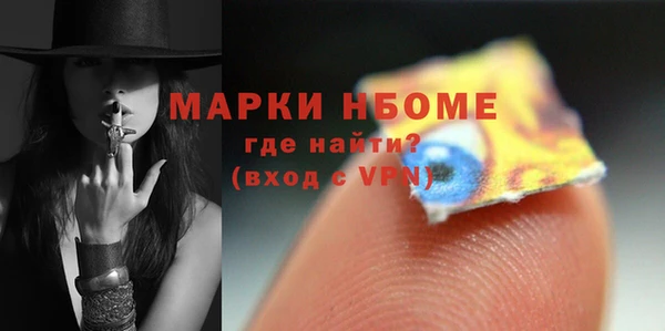 мдпв Елабуга
