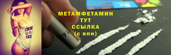 гидра Ельня
