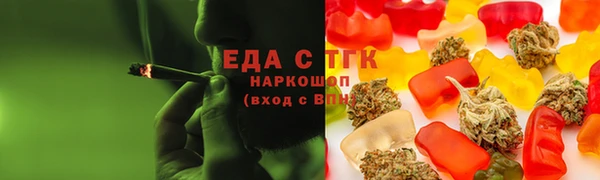 гидра Ельня