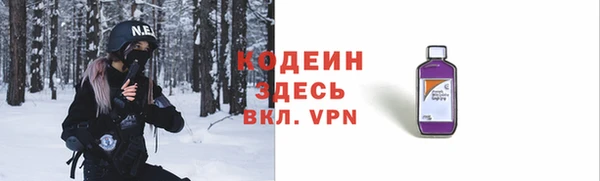 мдпв Елабуга