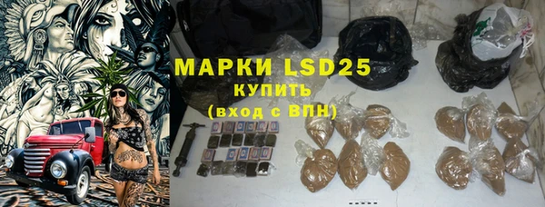 гидра Ельня