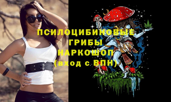 тгк Заводоуковск