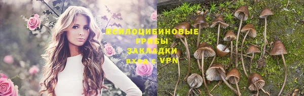 гидра Ельня