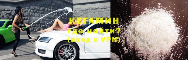 гидра Ельня