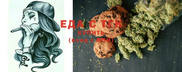 гидра Ельня