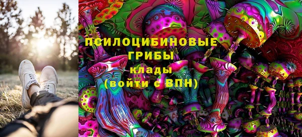 гидра Ельня