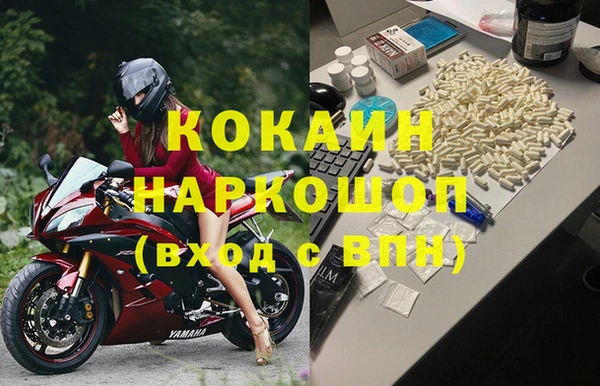 гидра Ельня