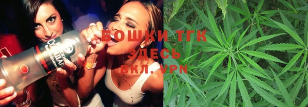 мдпв Елабуга