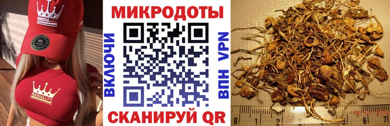 Псилоцибиновые грибы ЛСД Купить Дагестанские Огни
